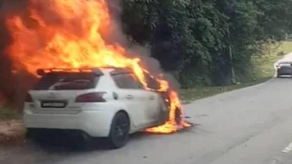 Burning Peugeot statement 