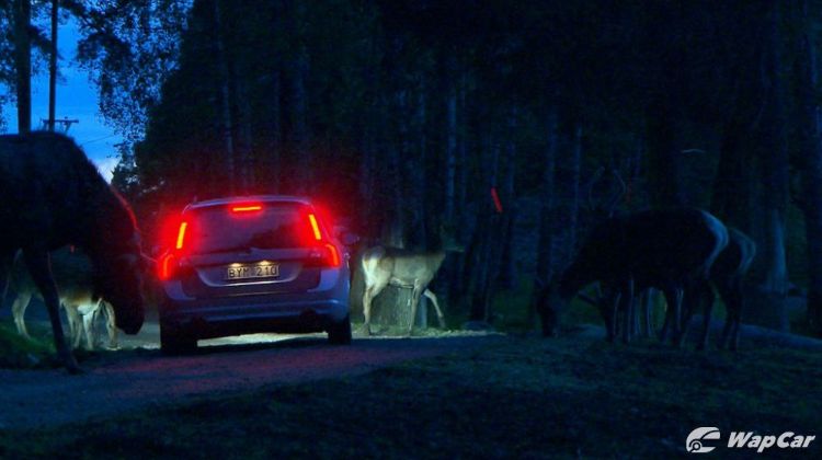 Why Toyota sucks so badly in moose tests, and should you believe it?