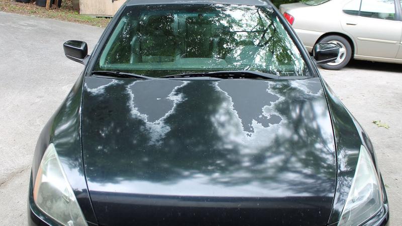 Sun damage ruins the resale value of your car, here's how to prevent it 02