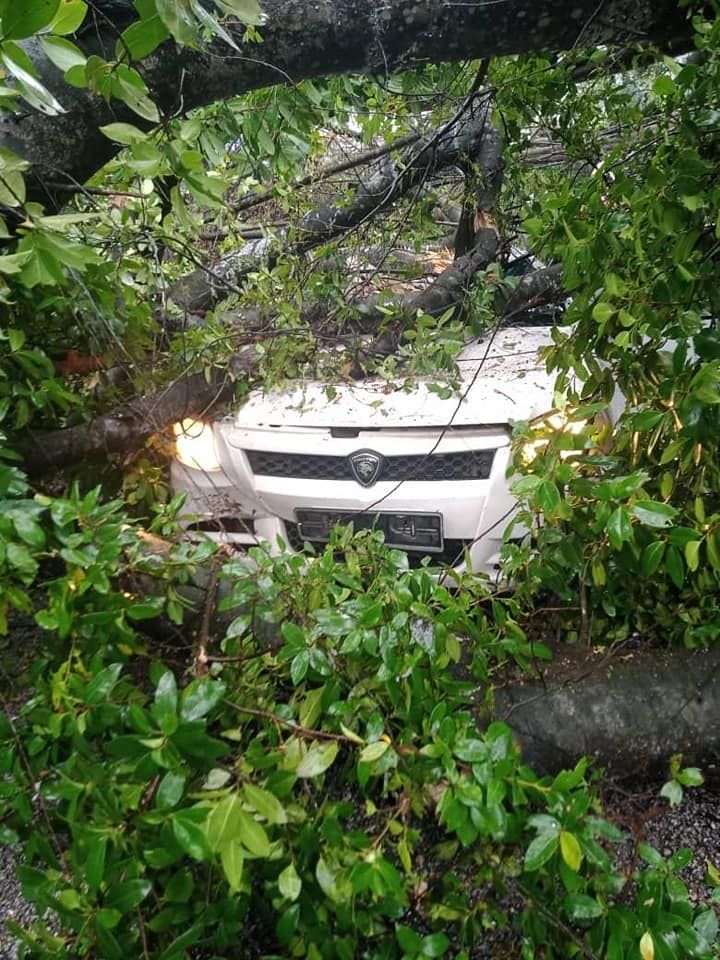 Proton Saga trapped under fallen tree near Muzium Negara; Passengers unhurt