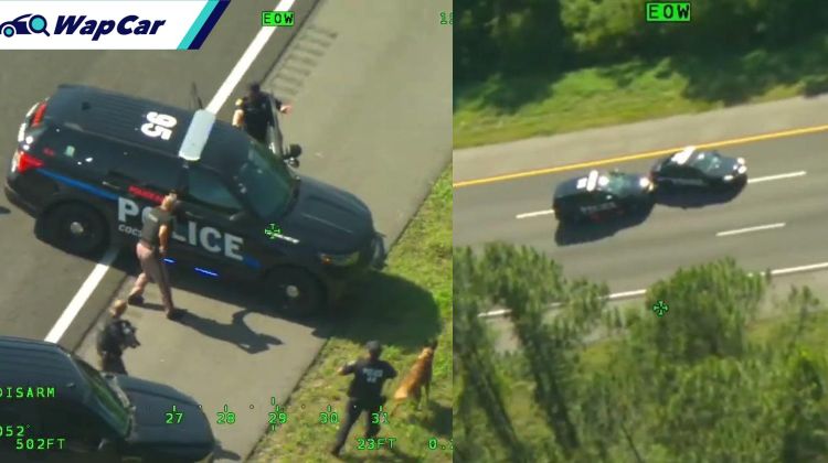 Man carjacked 2 police cars to fulfil GTA thrills in Florida