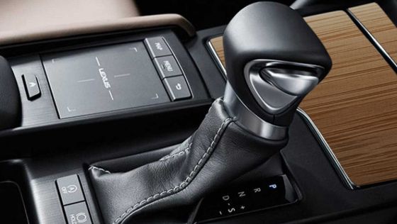 2021 Lexus ES 250 Limited Edition Interior 006
