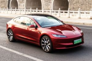 China told Tesla to not work with India, and Elon listened - FSD restrictions to be lifted