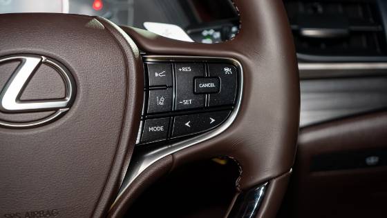 2019 Lexus ES 250 Luxury Interior 007