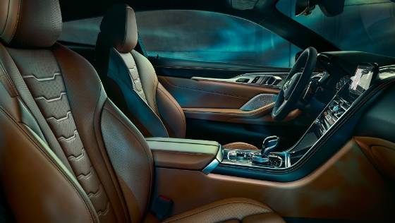 BMW 8 Series (2019) Interior 011