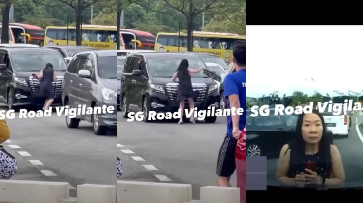Video: PDRM tracing woman who ripped off number plate of Toyota Alphard at the Tuas Second Link