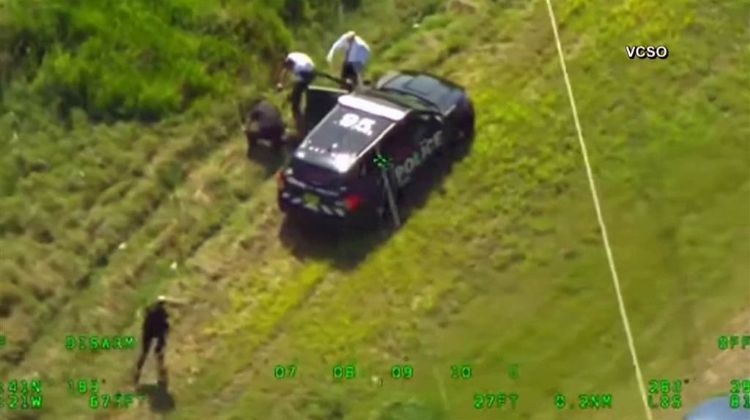 Man carjacked 2 police cars to fulfil GTA thrills in Florida